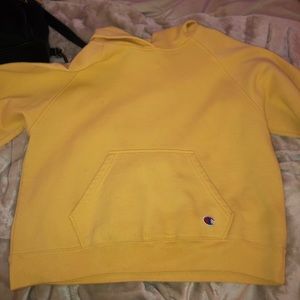 Champion hoodie